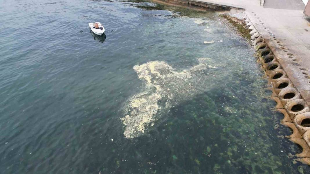 İstanbul'da bu semtleri terk edin! Uzman isim tarih verdi: Felaket üstüne felaket! 8